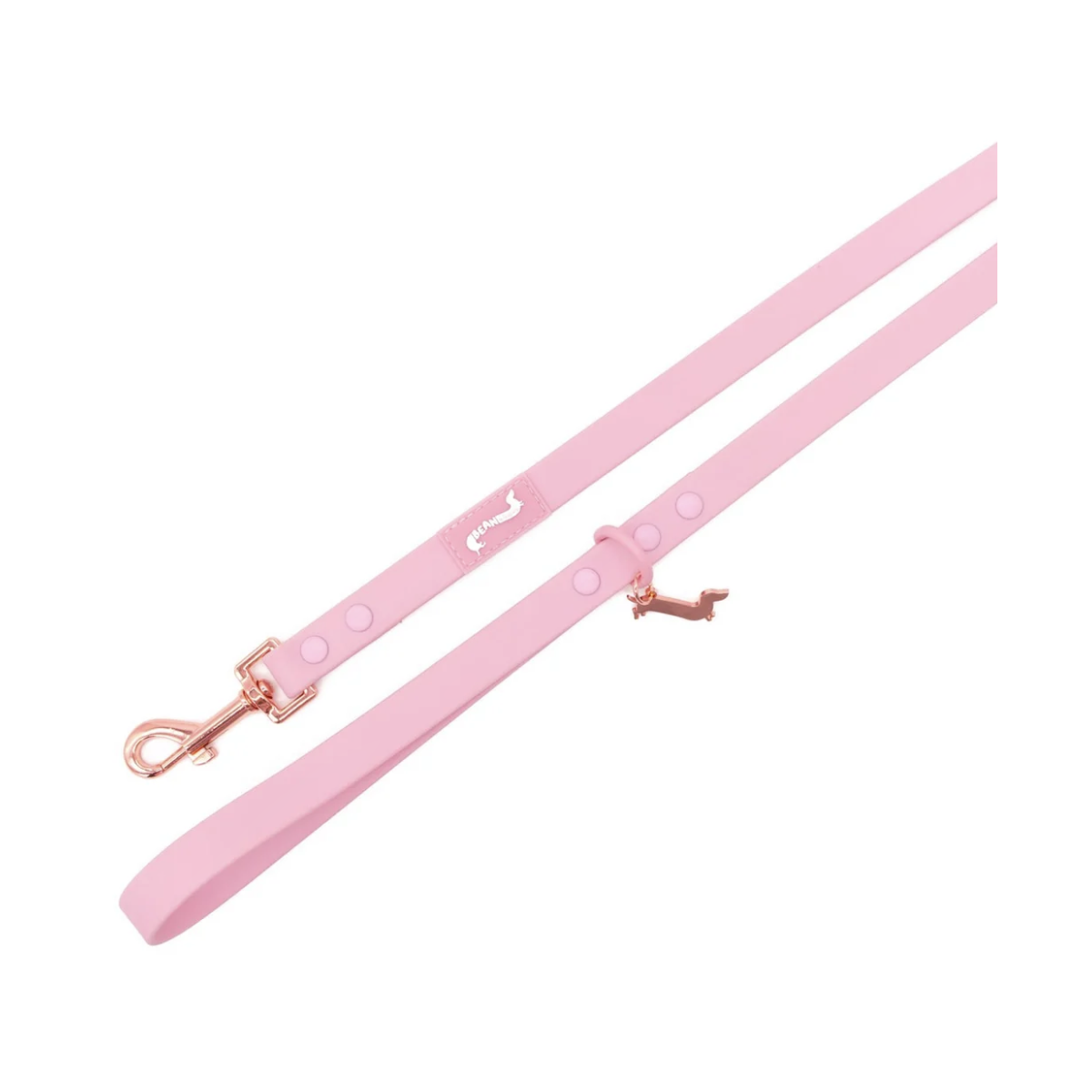 WATERPROOF EASY-CLEAN LEASH